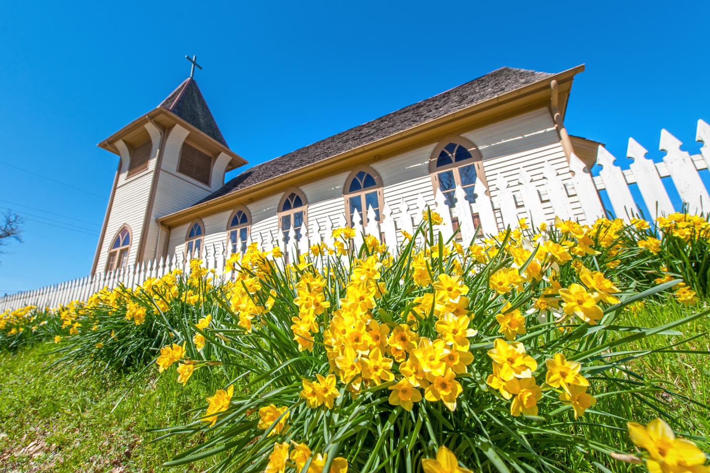 Church with yellow flowers and white fence on a sunny day.