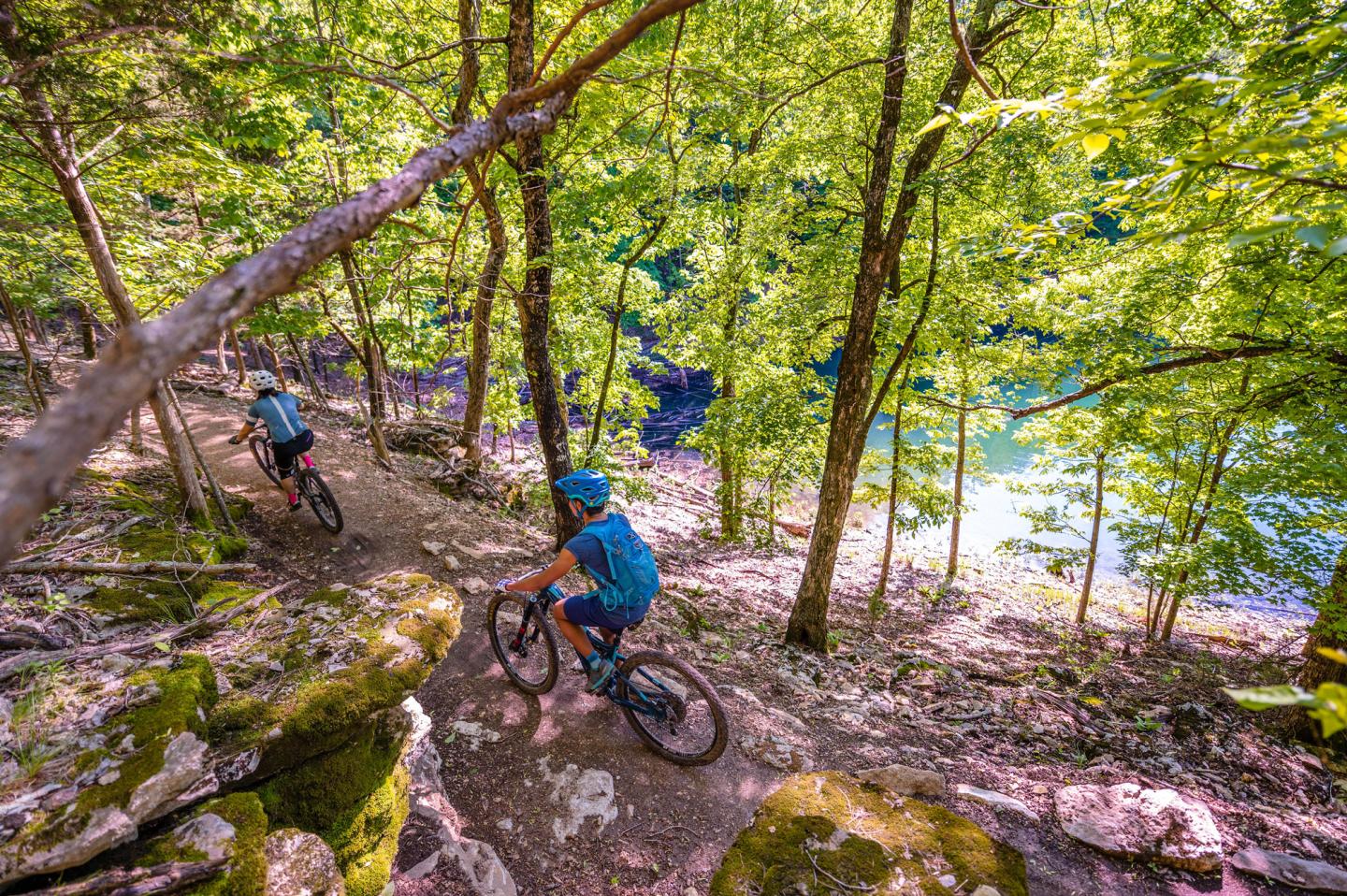 Mountain bikers ride through a lush, sunlit forest trail.