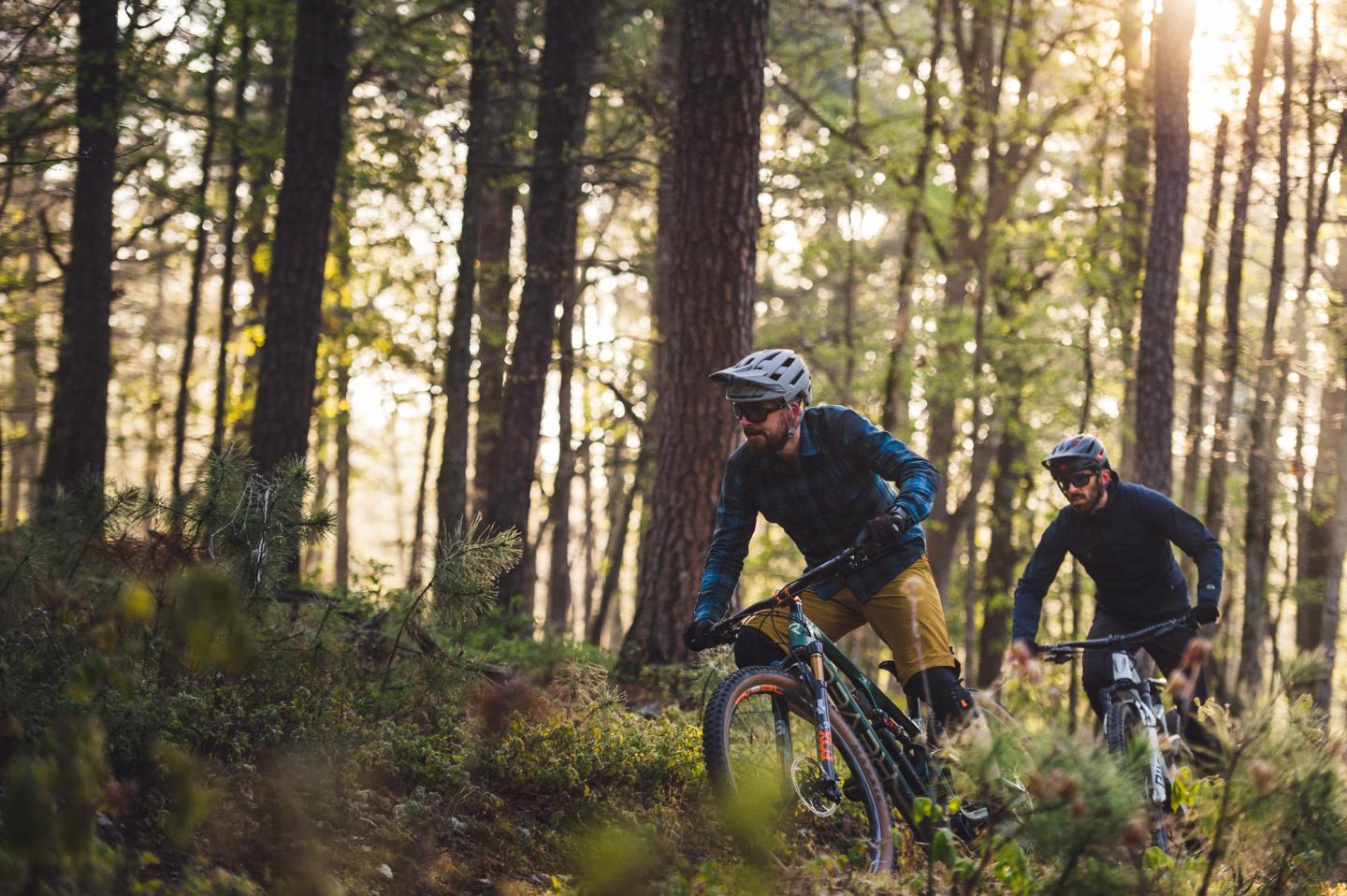 Two people mountain biking through a sunlit forest trail.