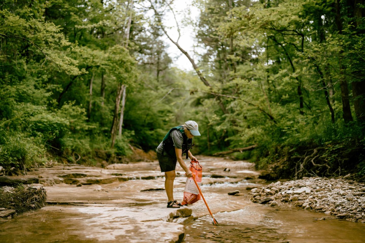 A person with a net wading in a forest stream.