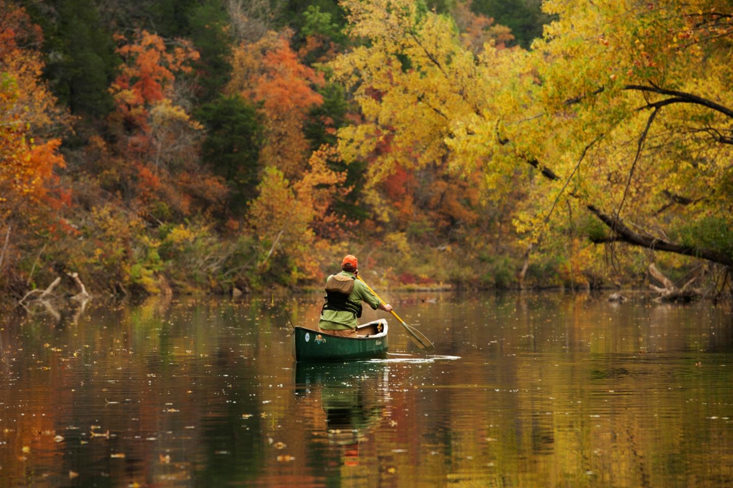 Canoeist paddles on calm river surrounded by vibrant autumn foliage.