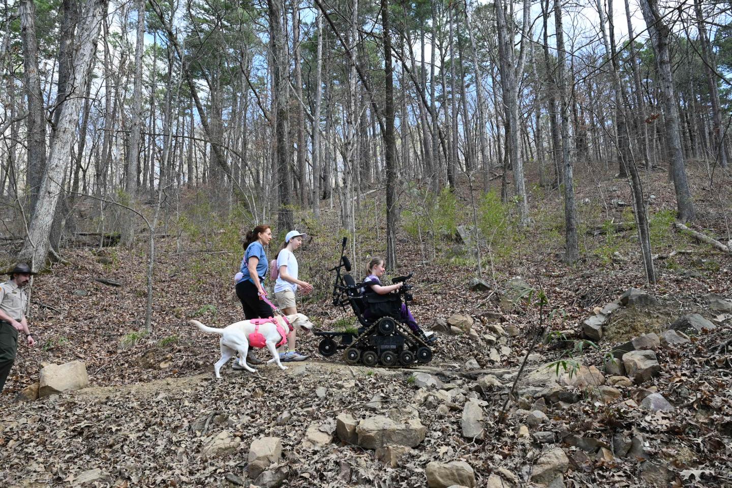 Hikers with a dog assist a person in a wheelchair on a forest trail.