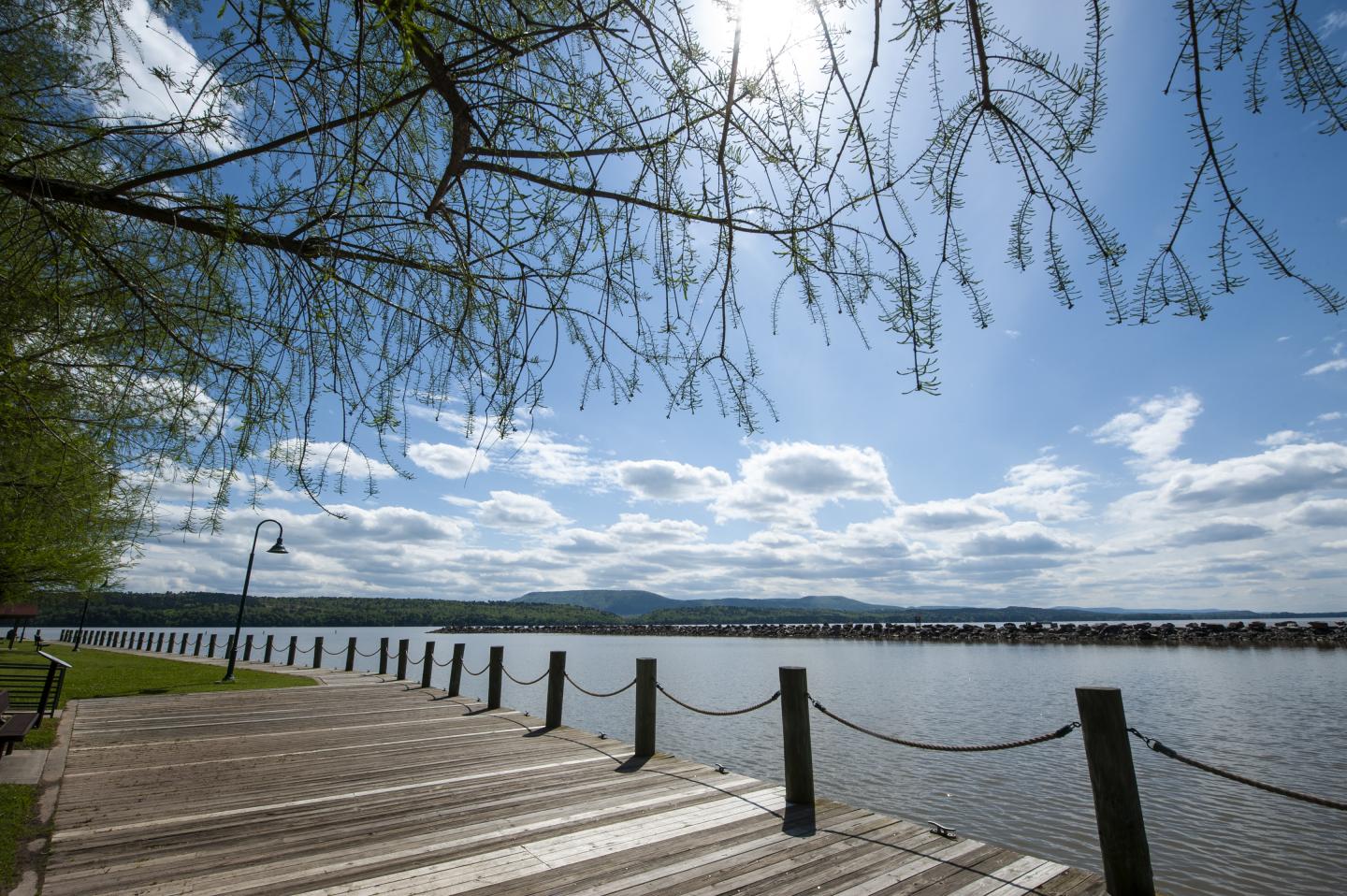 Lakeside boardwalk under a sunny sky with scattered clouds.