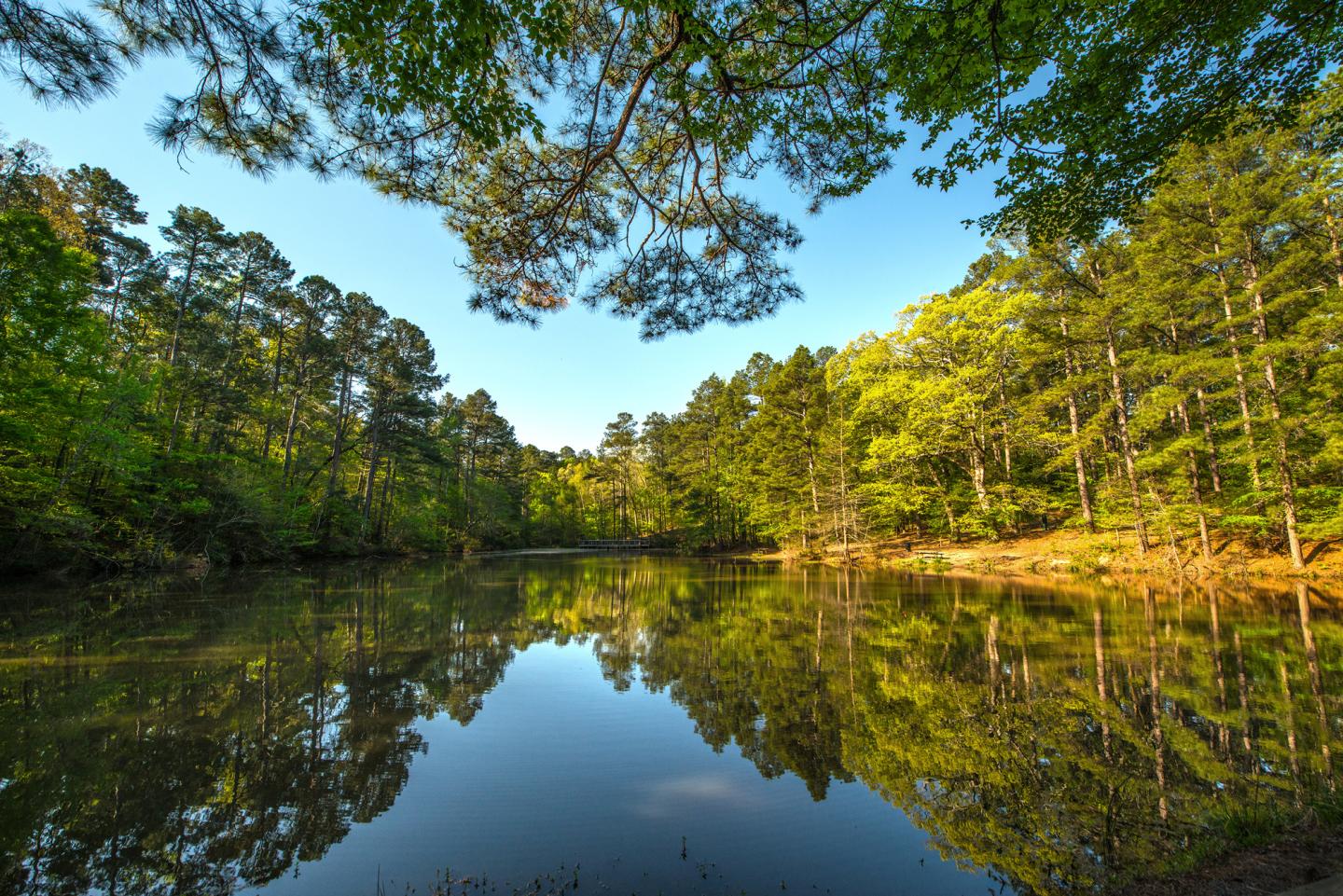 Tranquil lake reflecting surrounding green trees under a clear blue sky.