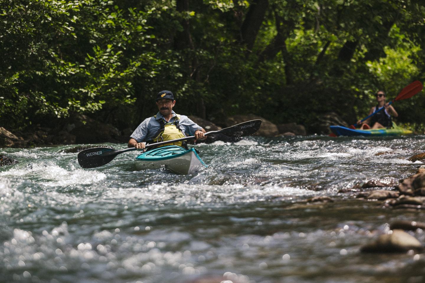 Kayakers navigating a fast-flowing, tree-lined river.
