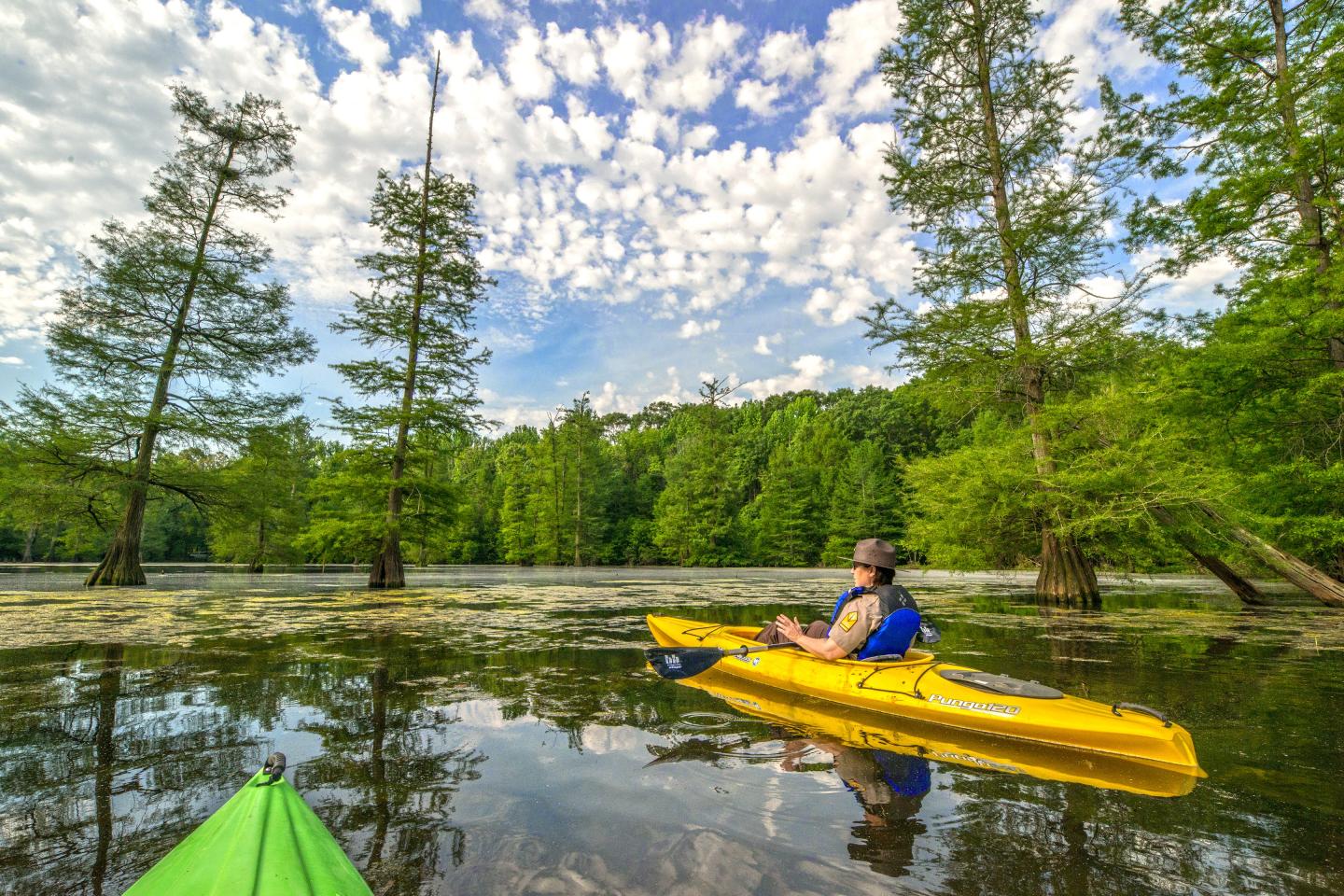 Kayaker in a yellow kayak glides on calm water, surrounded by green trees and blue sky.