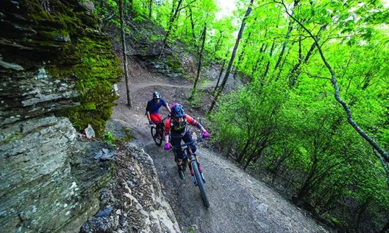 Mountain bikers on a forest trail, surrounded by lush green trees.