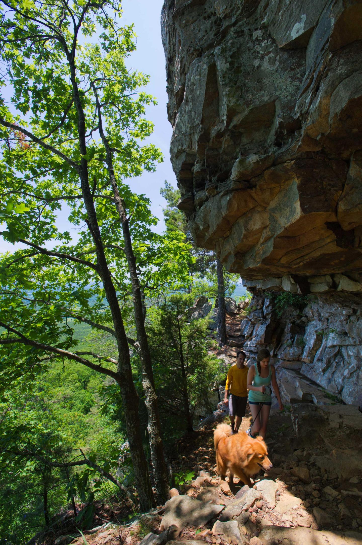 Hikers with a dog on a rocky forest trail next to a cliff.