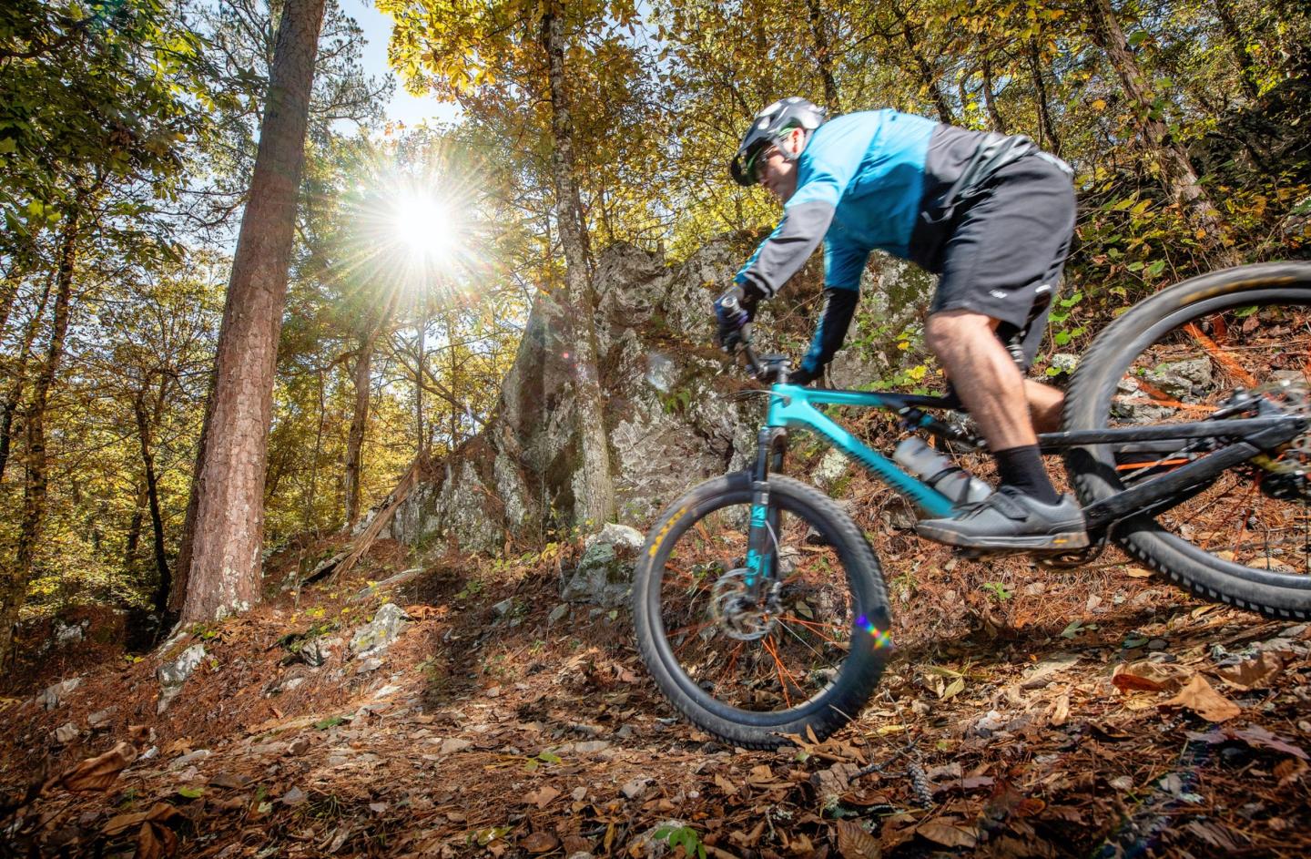 Cyclist riding downhill on a forest trail in autumn.
