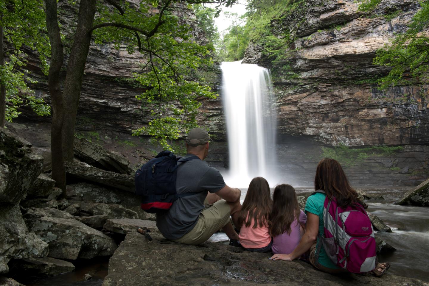 A family of four sits on rocks, admiring a waterfall in a forest setting.