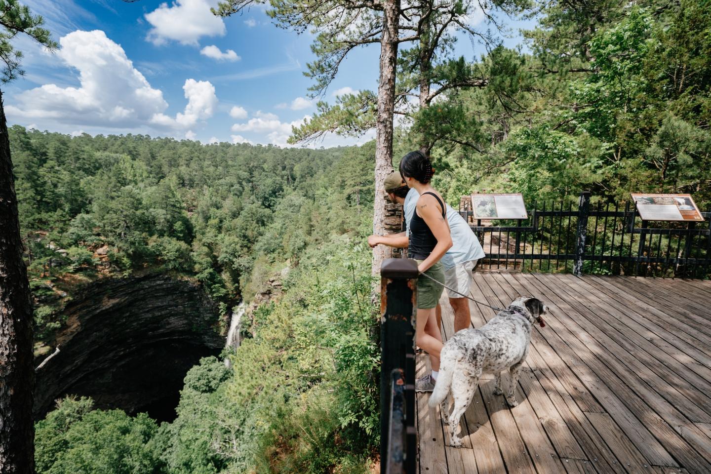 Woman and dog on wooden deck overlooking forested canyon.