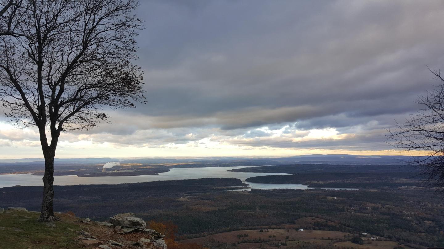 Overcast sky over a vast landscape with a lone tree and distant water.
