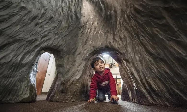 Child crawling through a tree tunnel indoors, smiling.