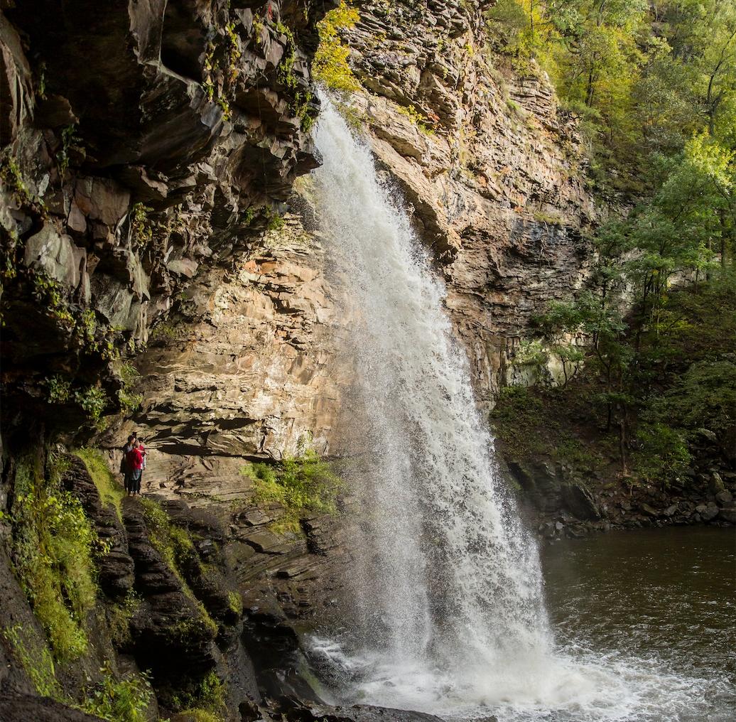 Waterfall cascading over rocky cliff into a pool, surrounded by lush greenery.