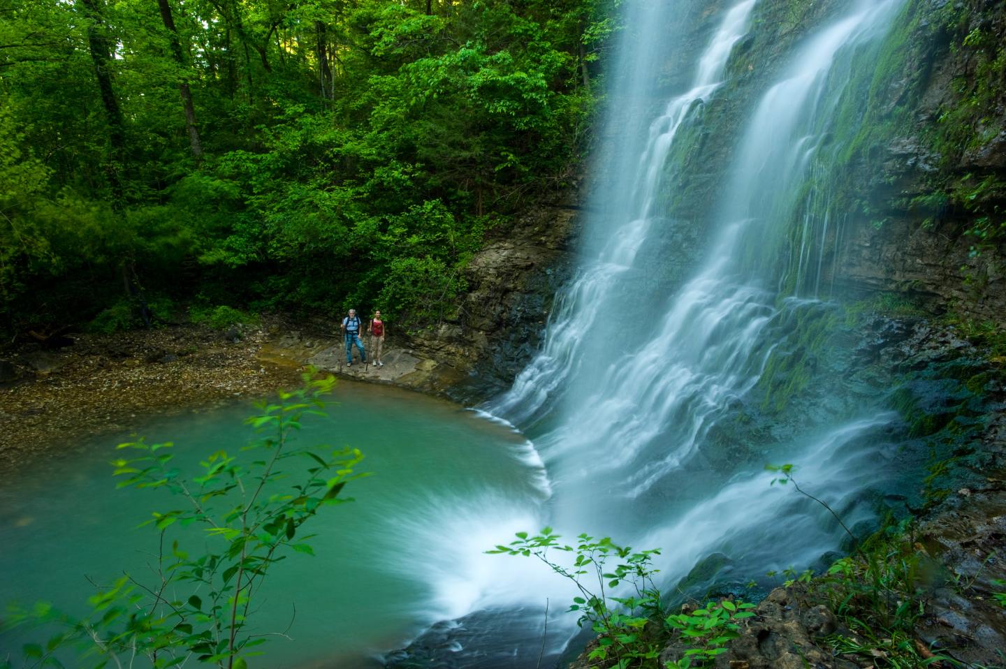 Waterfall cascading into a turquoise pool, surrounded by lush green forest.