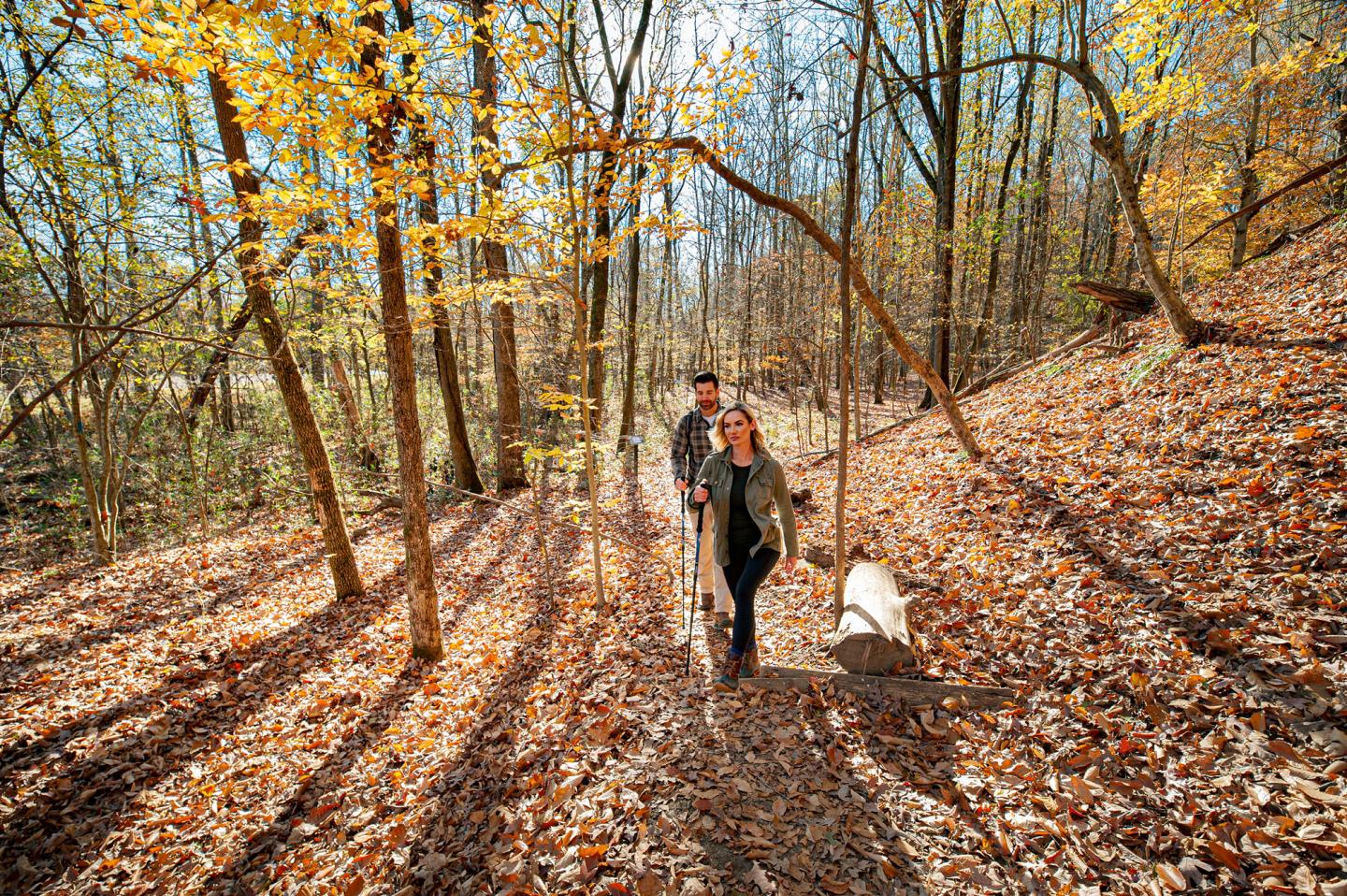 Couple hiking on a sunny forest path with autumn leaves.