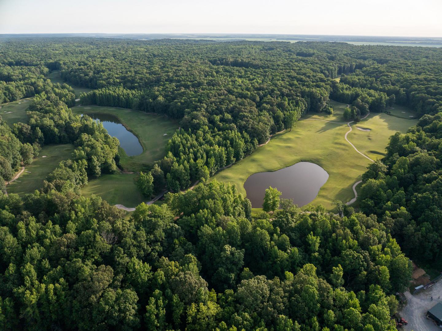 Aerial view of a dense forest with two small lakes.