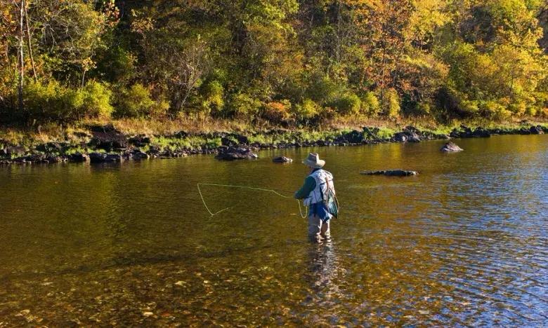Fly fisher stands in a clear river surrounded by autumn trees.