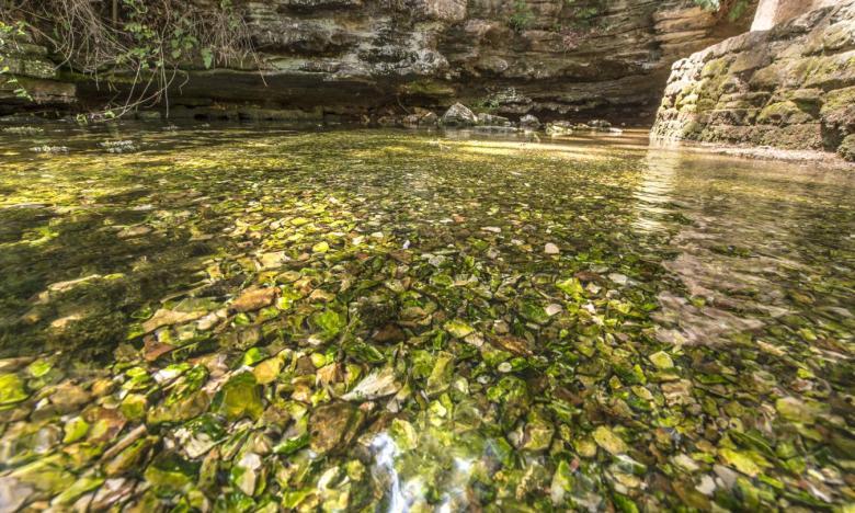 Clear stream with green algae and rocks under water, surrounded by stone walls.