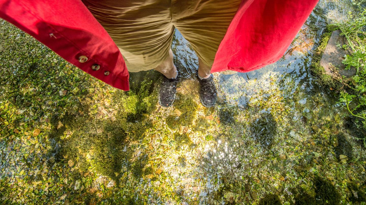 Red jacket over water and mossy ground, viewed from above.