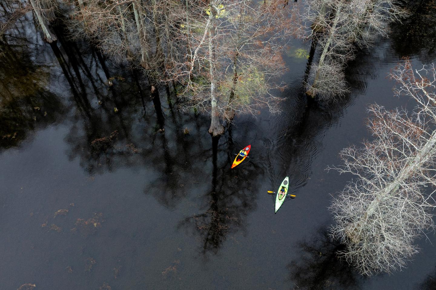 Mississippi River State Park