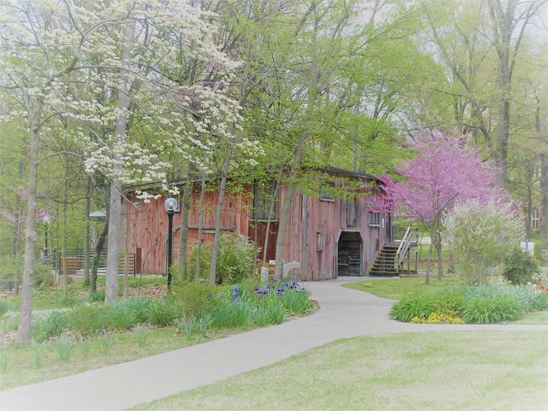 Barn Studio in spring