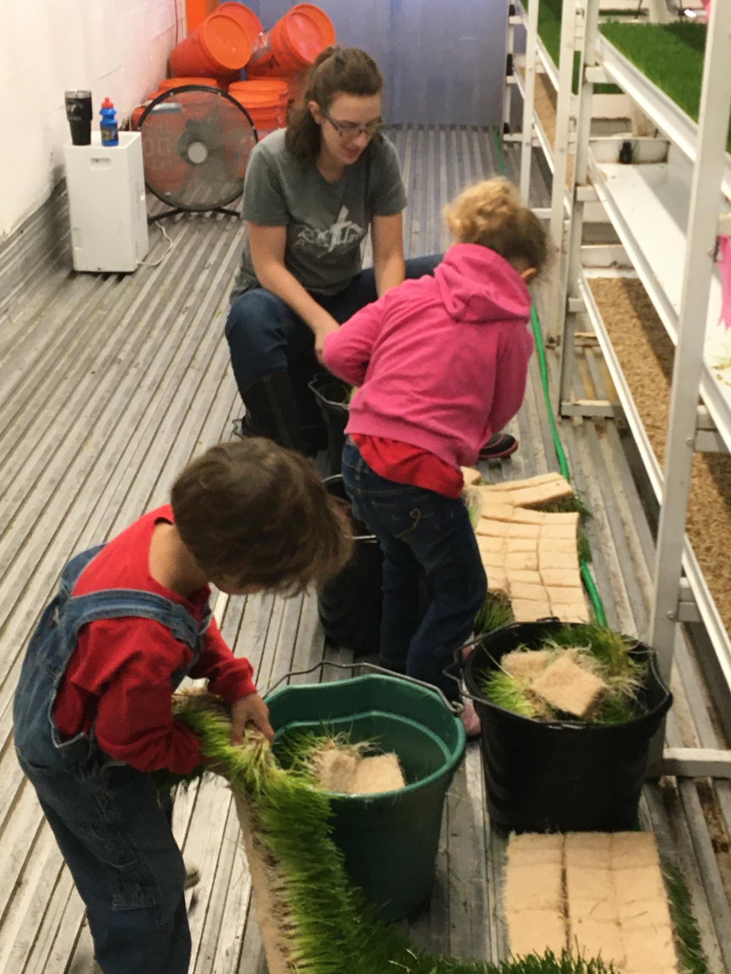 Dogwood Hills Guest Farm