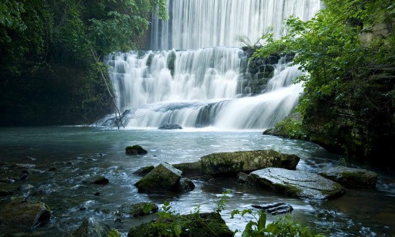 Waterfall cascading into a tranquil pool surrounded by lush greenery.