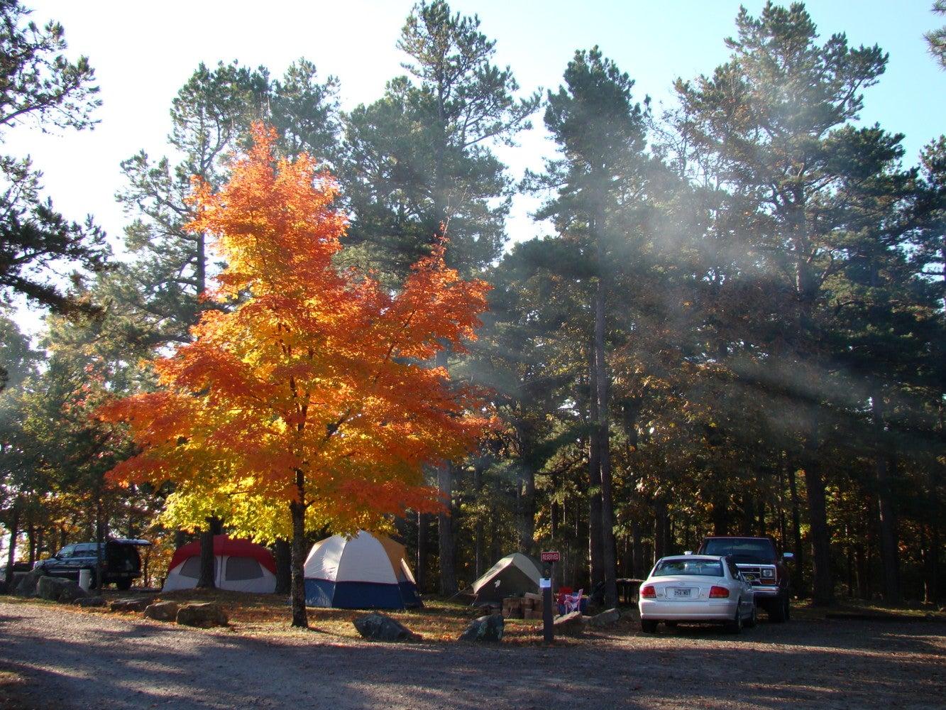 Fall camping at Mount Nebo State Park