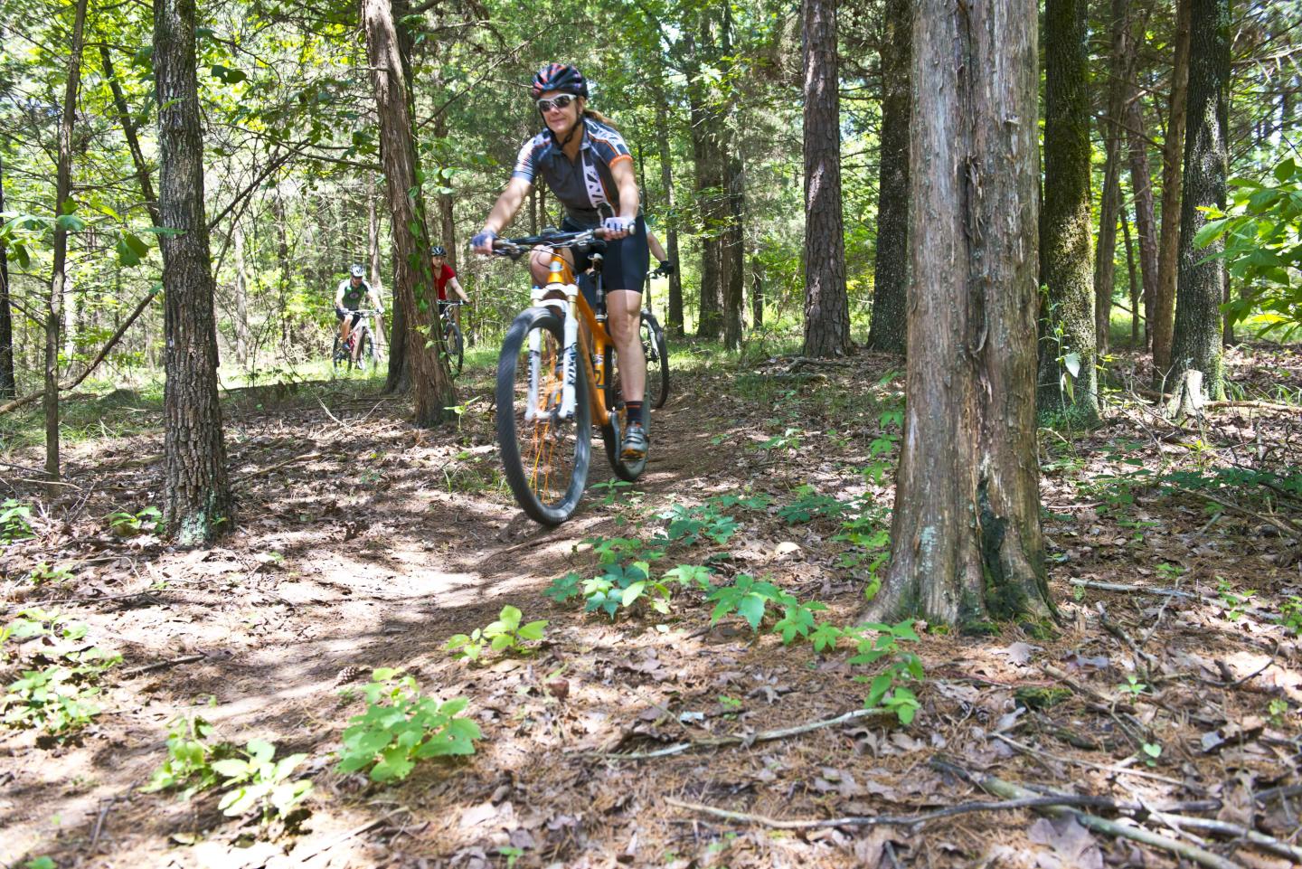 Mountain biking the Ouita Coal Company Trail