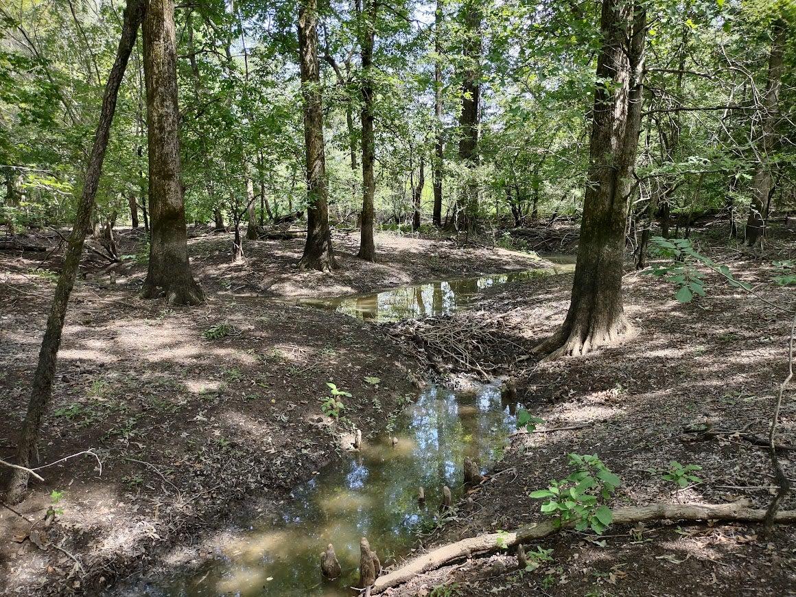 Water draining into Black River