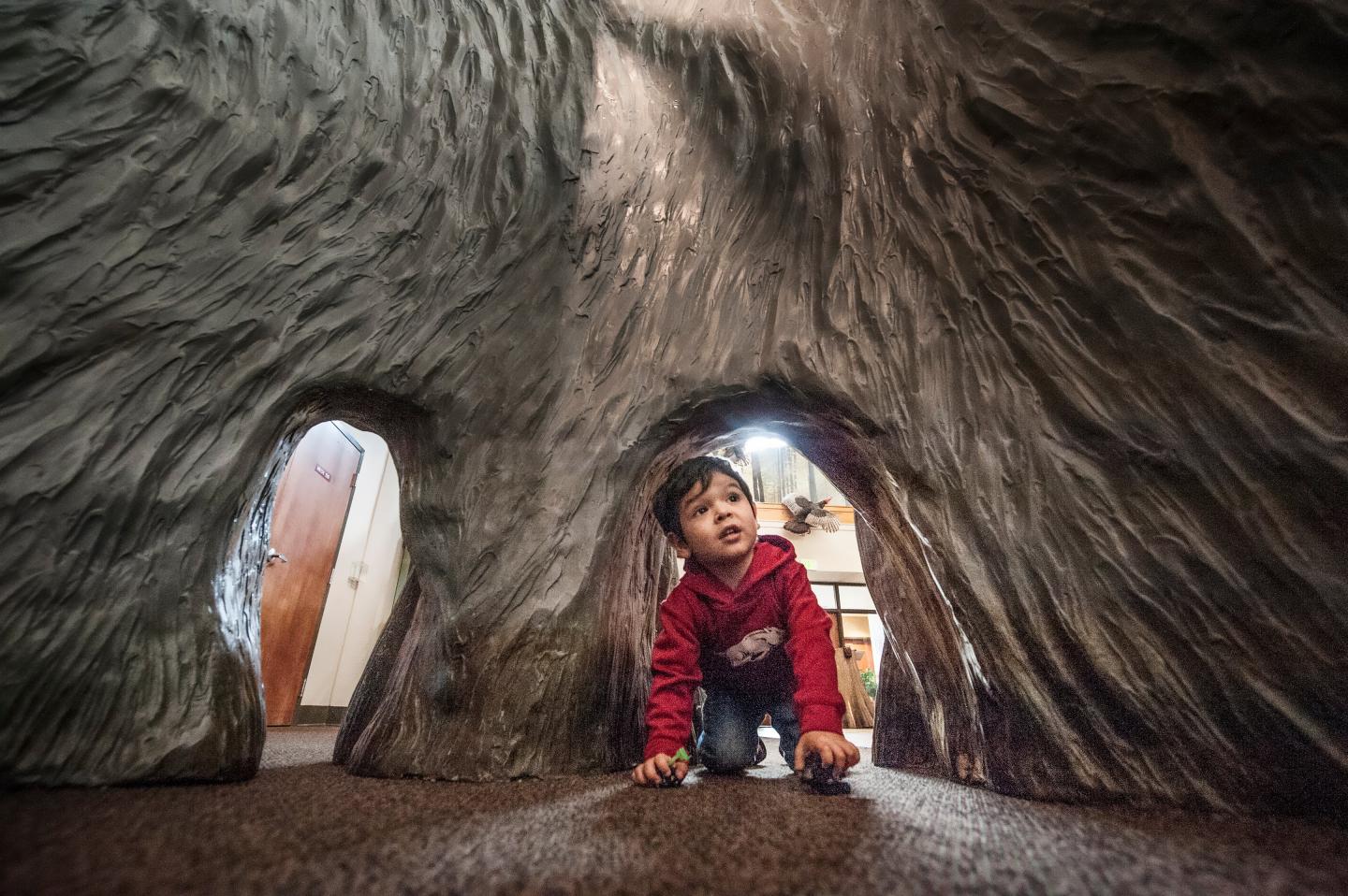 Interior at Governor Mike Huckabee Delta Rivers Nature Center