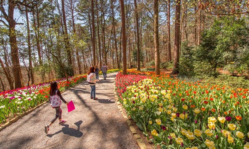 Garvan Woodland Gardens
