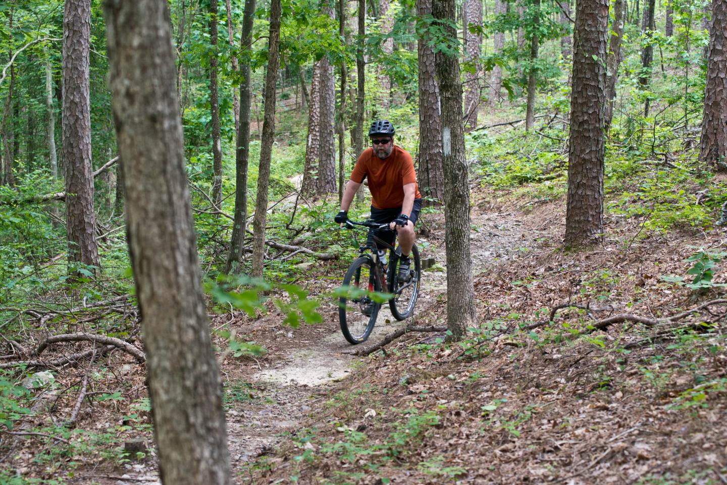 Mountain biking on the Earthquake Ridge Trail