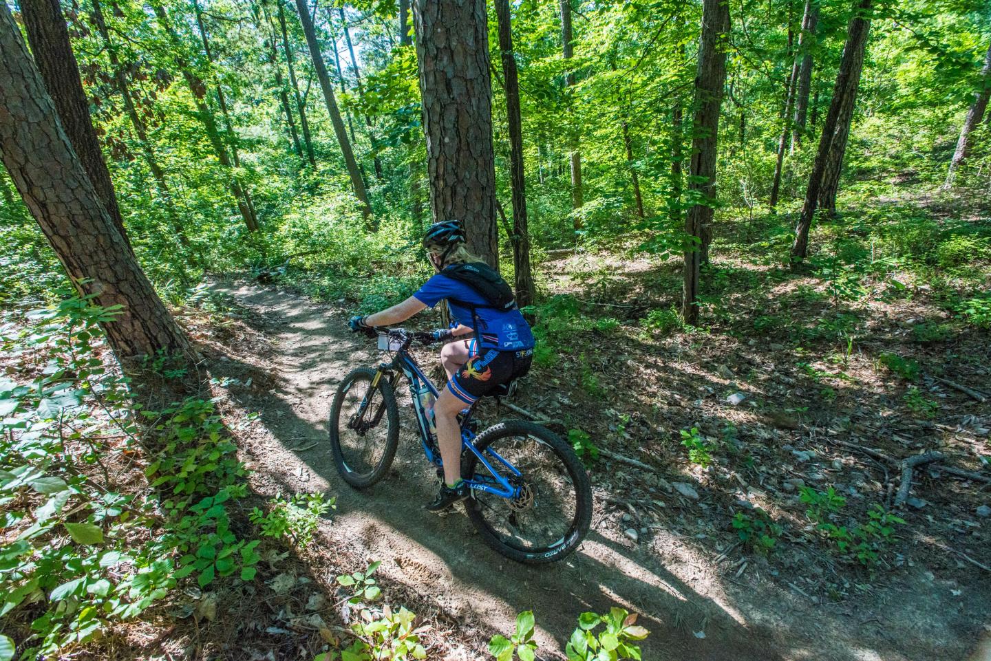 Mountain biking the Iron Mountain Trail