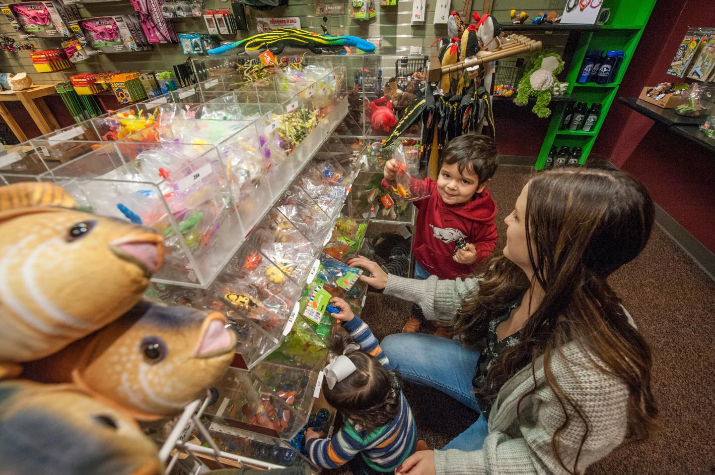 Interior at Governor Mike Huckabee Delta Rivers Nature Center