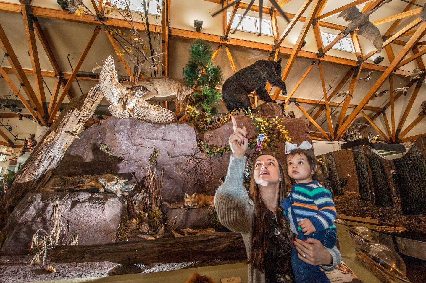 Interior at Governor Mike Huckabee Delta Rivers Nature Center