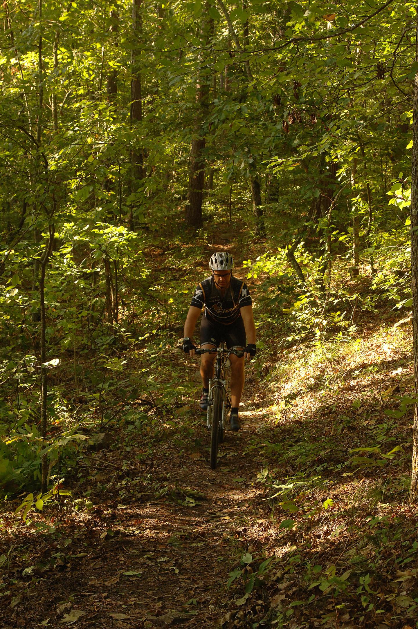 Mountain biking the Syllamo Bike Trail