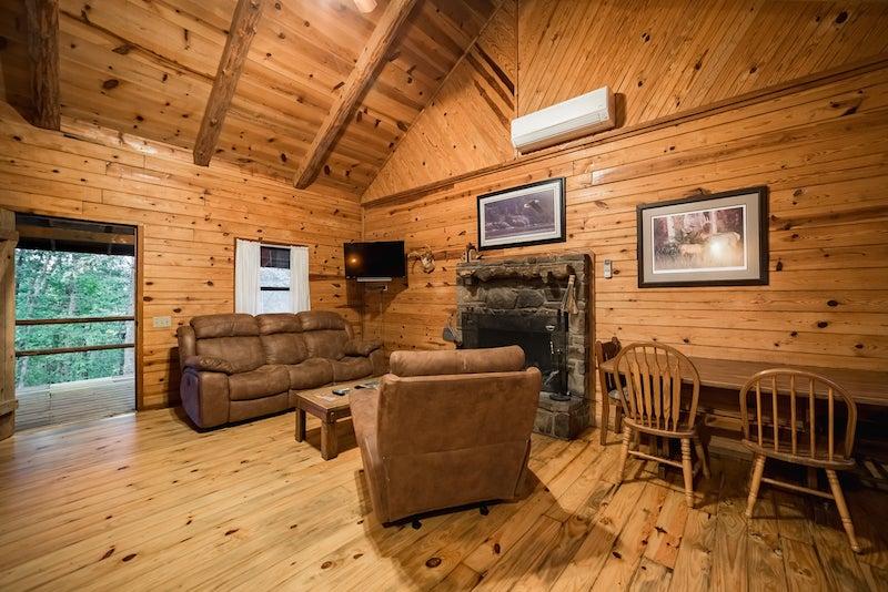 Living room in cabin