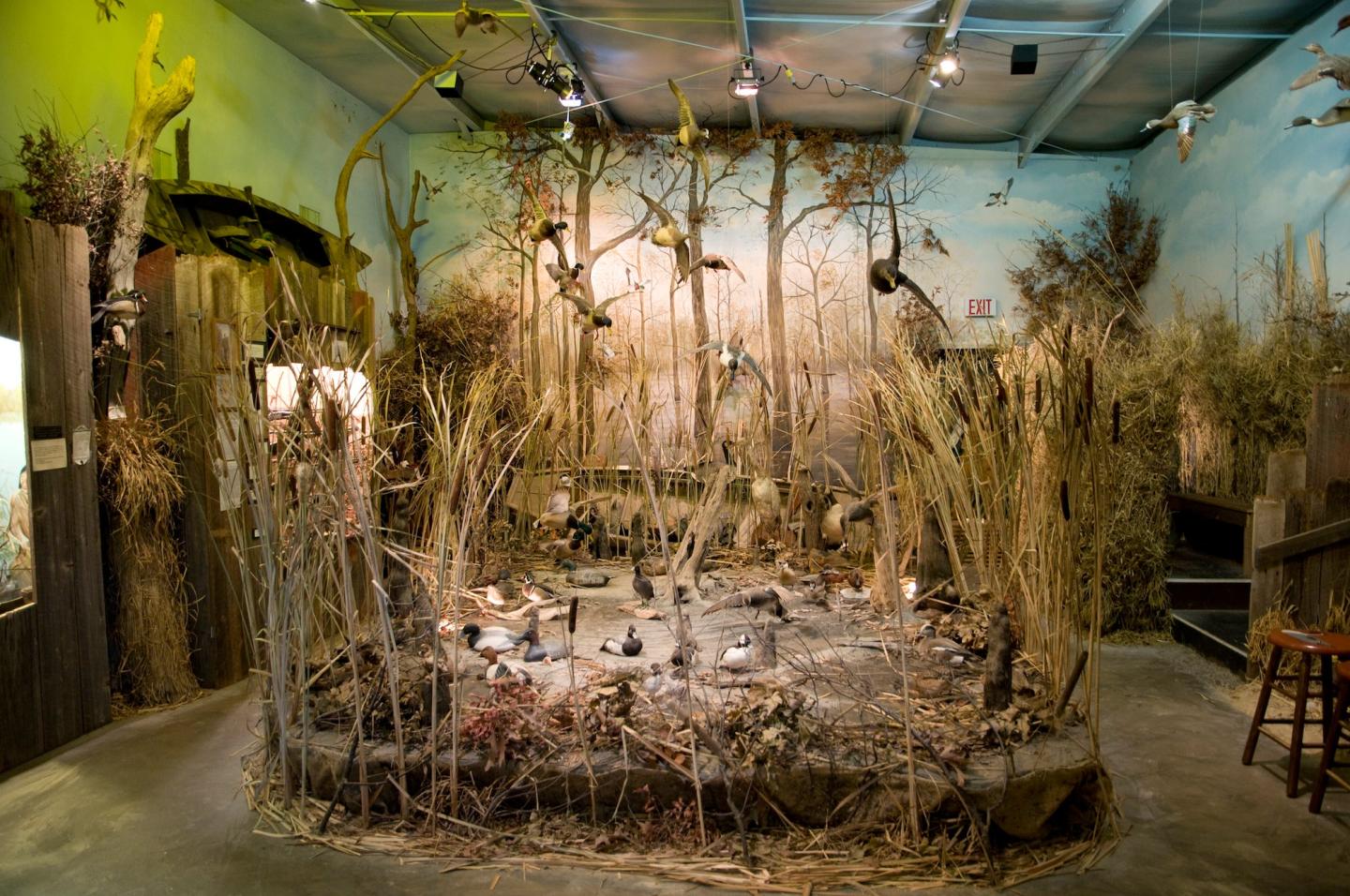 Museum of the Arkansas Grand Prairie