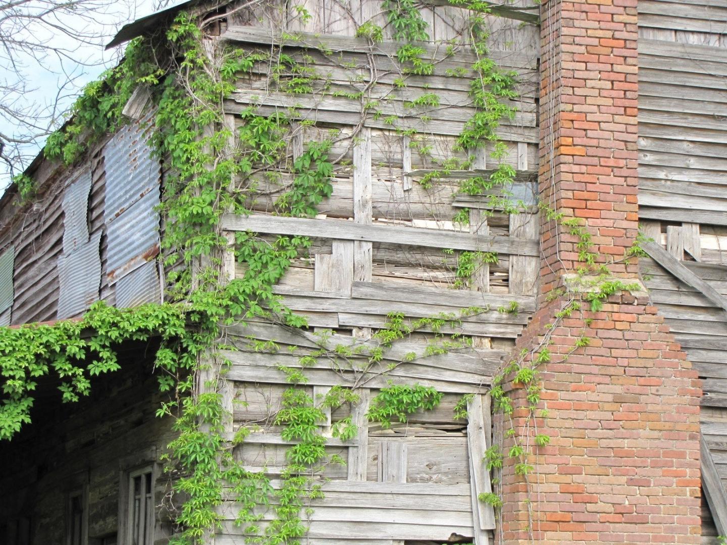 Taylor Log House Before Restoration