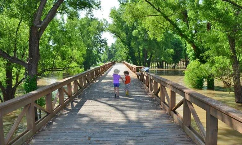 Children walking on a wooden bridge surrounded by lush green trees.