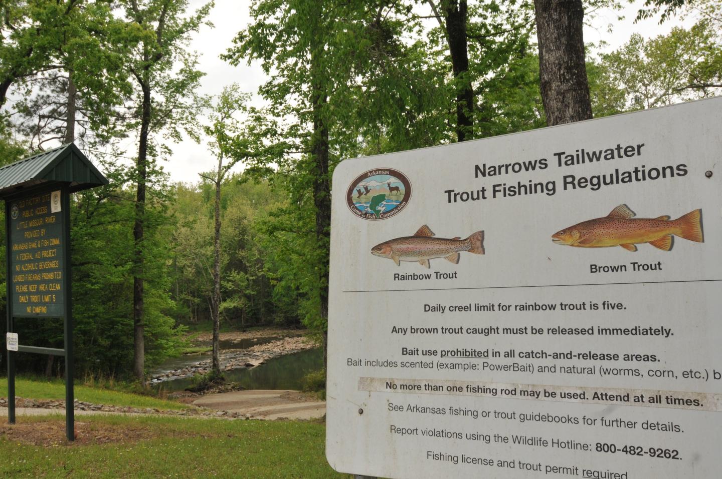 Trout fishing regulations sign near a wooded creek area.