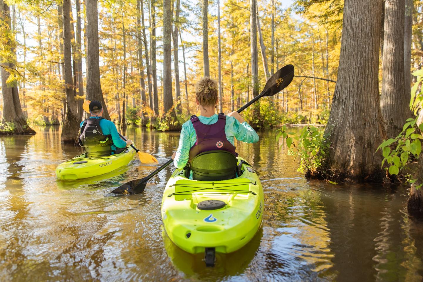 Two people kayaking through a sunlit forested river.