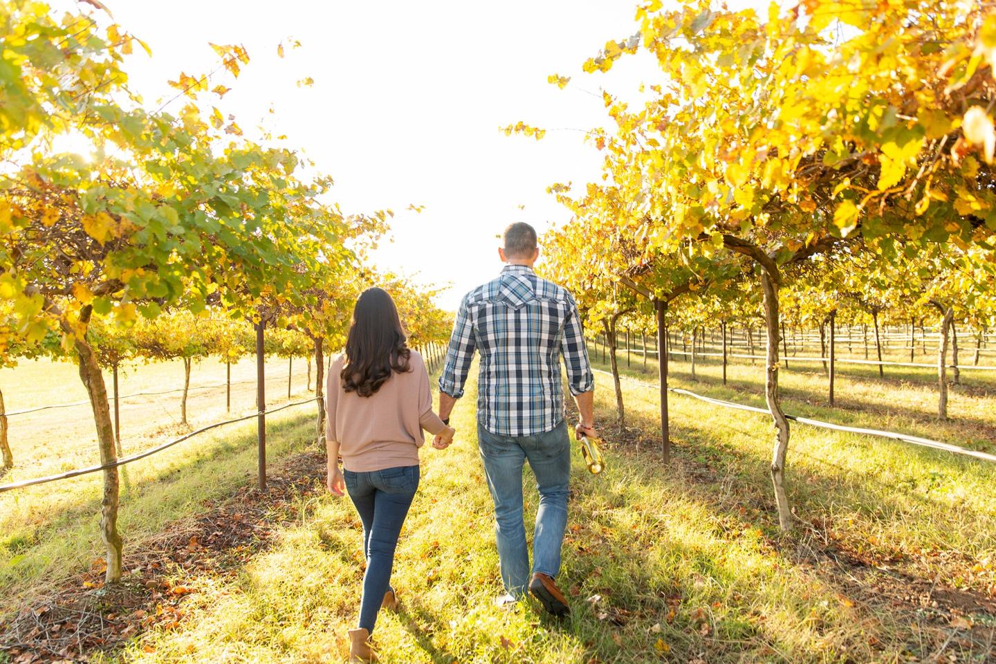 Couple walking hand in hand through a sunlit vineyard.