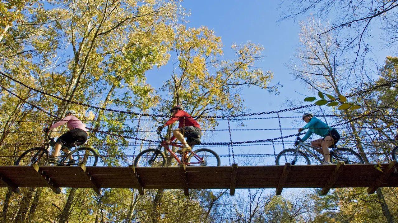 Cyclists crossing a rope bridge amidst autumn trees.