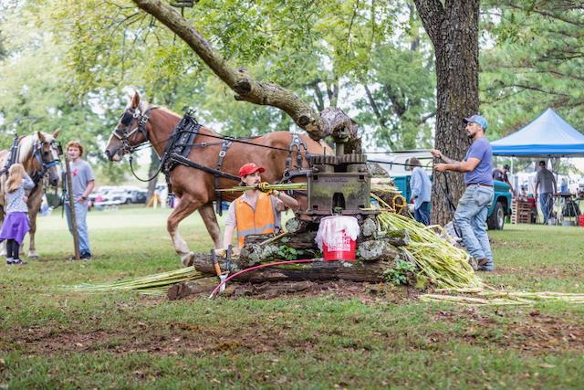 Cane Hill Harvest Festival