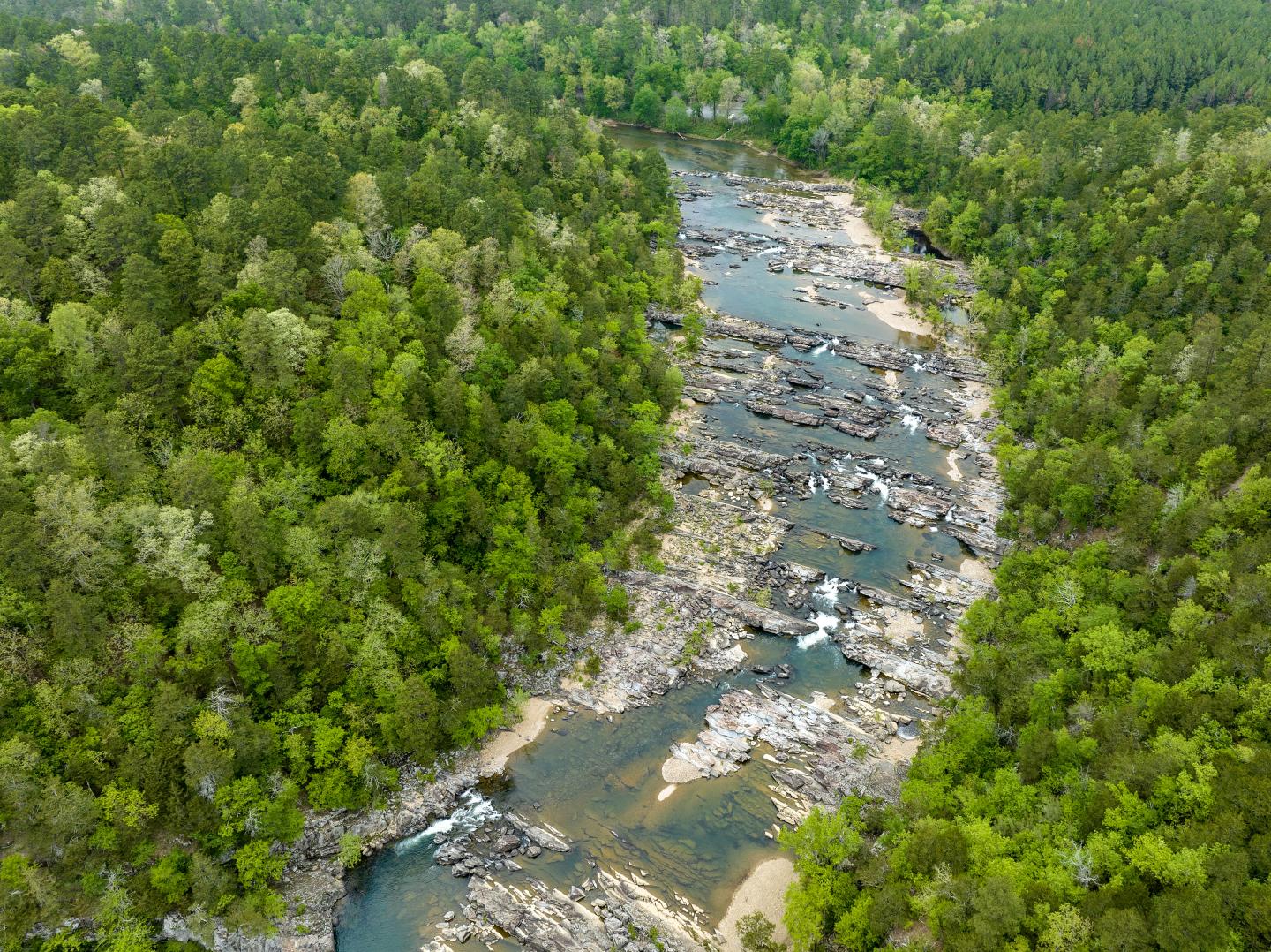 Aerial view of a forest with a river cutting through rocky terrain.