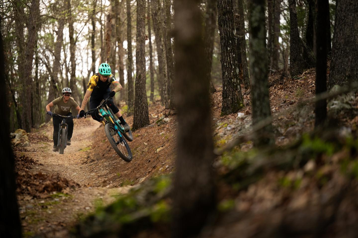 Two cyclists riding through a forest trail.