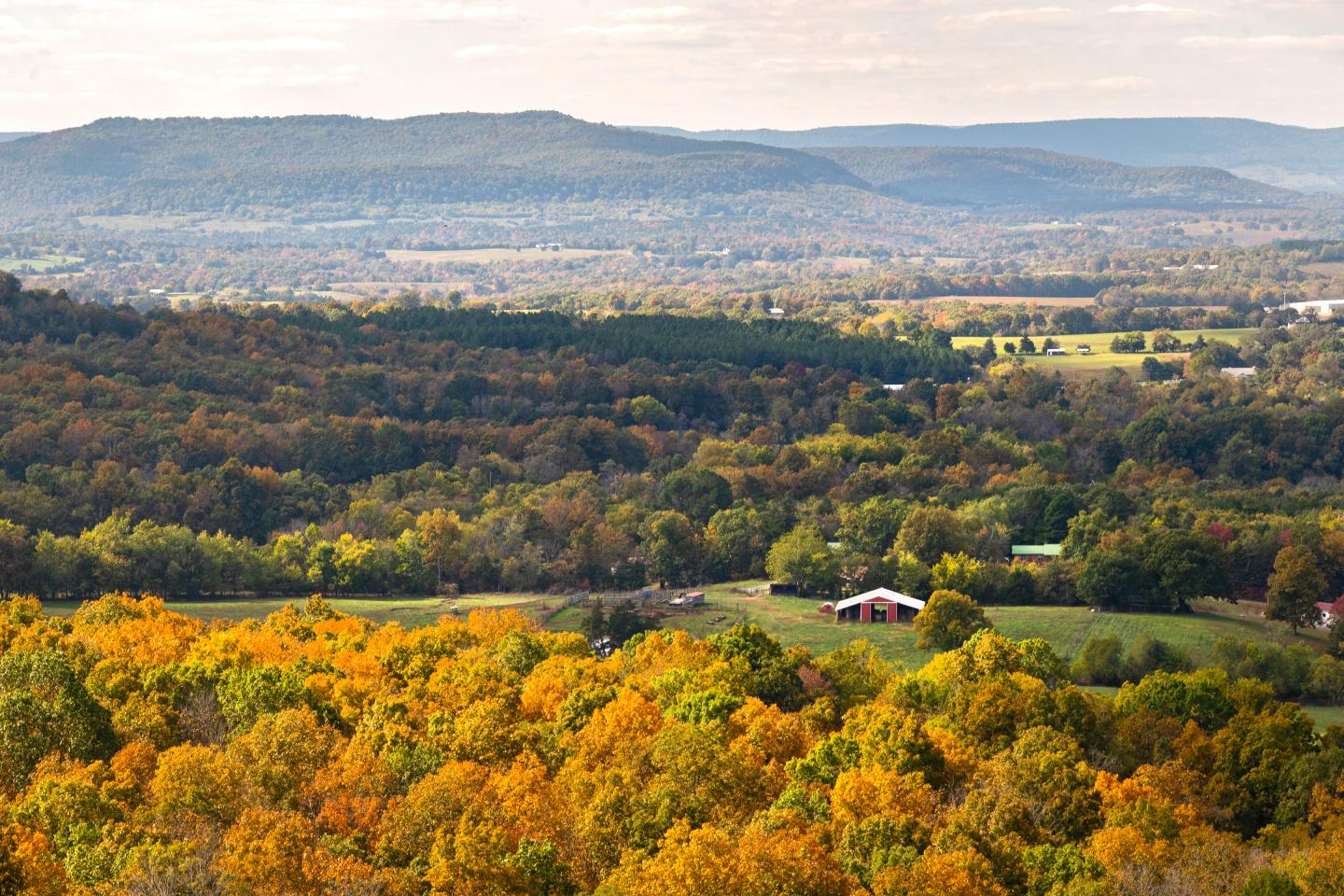 Autumn landscape with colorful trees and distant mountains.